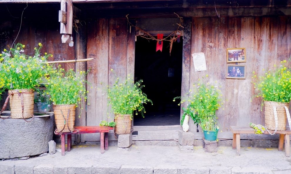 'Nhà của Pao' trong sắc vàng hoa cải